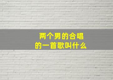 两个男的合唱的一首歌叫什么