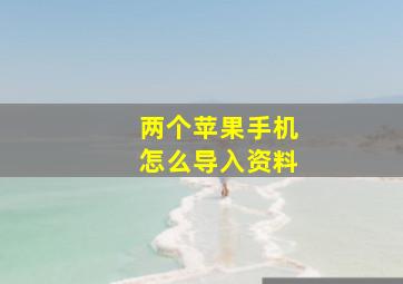 两个苹果手机怎么导入资料