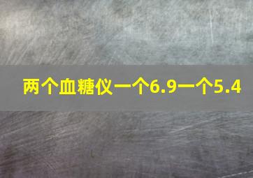 两个血糖仪一个6.9一个5.4