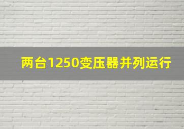 两台1250变压器并列运行