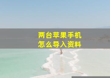 两台苹果手机怎么导入资料