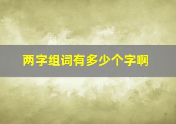 两字组词有多少个字啊