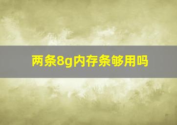 两条8g内存条够用吗