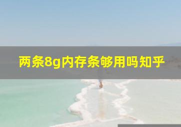 两条8g内存条够用吗知乎