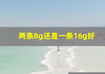 两条8g还是一条16g好