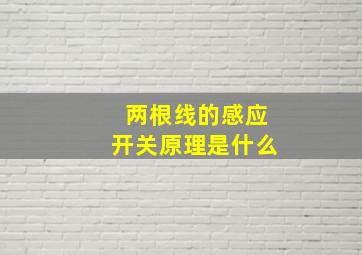 两根线的感应开关原理是什么