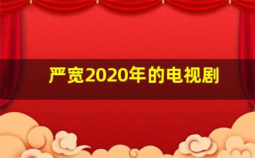 严宽2020年的电视剧