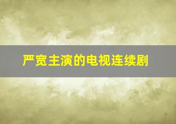 严宽主演的电视连续剧