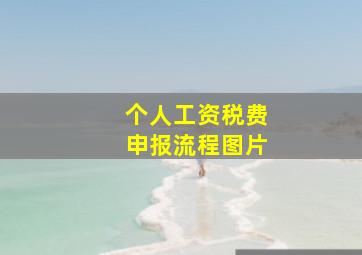 个人工资税费申报流程图片