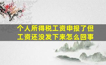 个人所得税工资申报了但工资还没发下来怎么回事