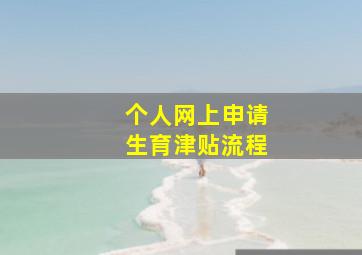 个人网上申请生育津贴流程