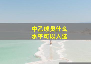 中乙球员什么水平可以入选