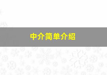 中介简单介绍