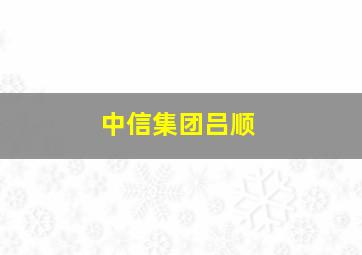 中信集团吕顺