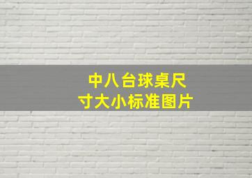 中八台球桌尺寸大小标准图片