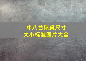 中八台球桌尺寸大小标准图片大全