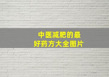 中医减肥的最好药方大全图片