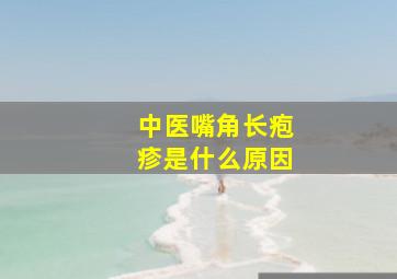 中医嘴角长疱疹是什么原因