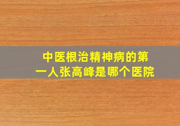 中医根治精神病的第一人张高峰是哪个医院