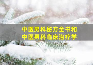 中医男科秘方全书和中医男科临床治疗学