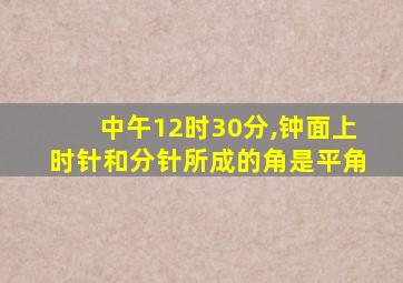 中午12时30分,钟面上时针和分针所成的角是平角