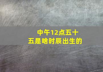 中午12点五十五是啥时辰出生的