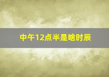 中午12点半是啥时辰