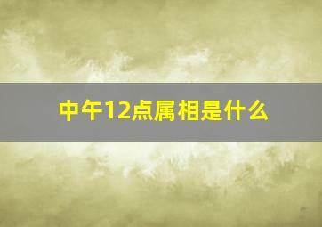 中午12点属相是什么