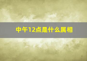 中午12点是什么属相