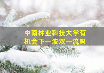 中南林业科技大学有机会下一波双一流吗