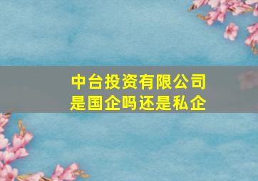 中台投资有限公司是国企吗还是私企