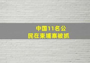 中国11名公民在柬埔寨被抓