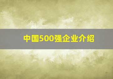 中国500强企业介绍