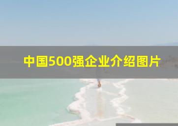 中国500强企业介绍图片