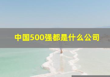 中国500强都是什么公司