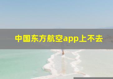 中国东方航空app上不去