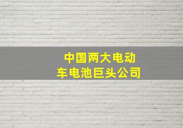 中国两大电动车电池巨头公司