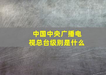 中国中央广播电视总台级别是什么