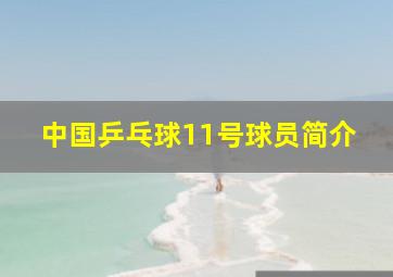 中国乒乓球11号球员简介