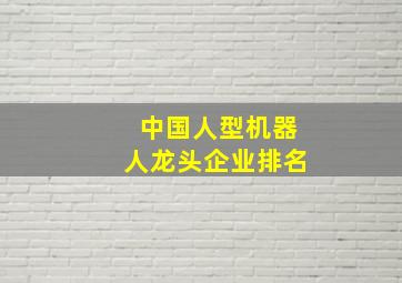 中国人型机器人龙头企业排名