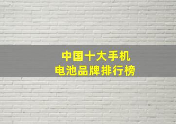 中国十大手机电池品牌排行榜