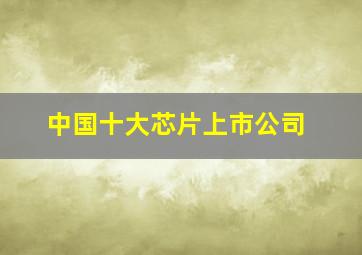 中国十大芯片上市公司