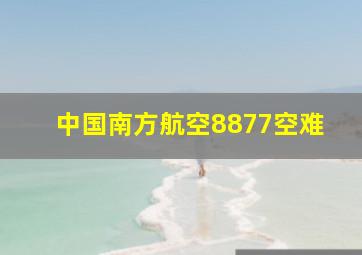 中国南方航空8877空难