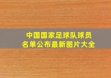 中国国家足球队球员名单公布最新图片大全