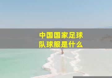 中国国家足球队球服是什么