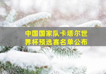 中国国家队卡塔尔世界杯预选赛名单公布