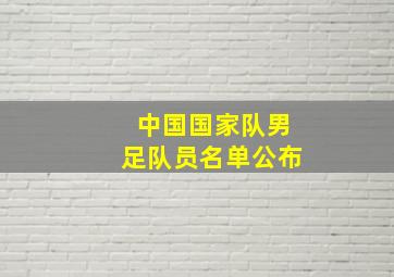 中国国家队男足队员名单公布