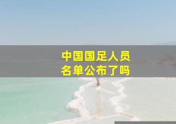 中国国足人员名单公布了吗