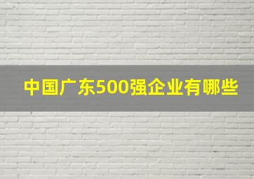 中国广东500强企业有哪些