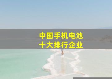 中国手机电池十大排行企业